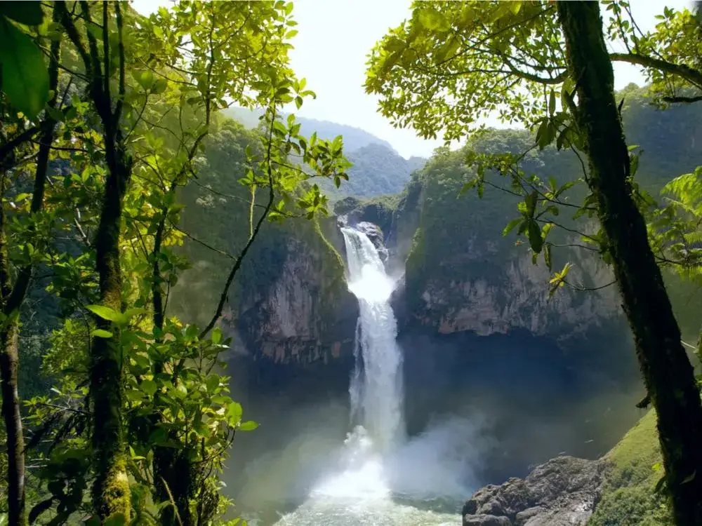 San Rafael Falls, one of the largest in Ecuador, for a piece on the best time to visit Ecuador