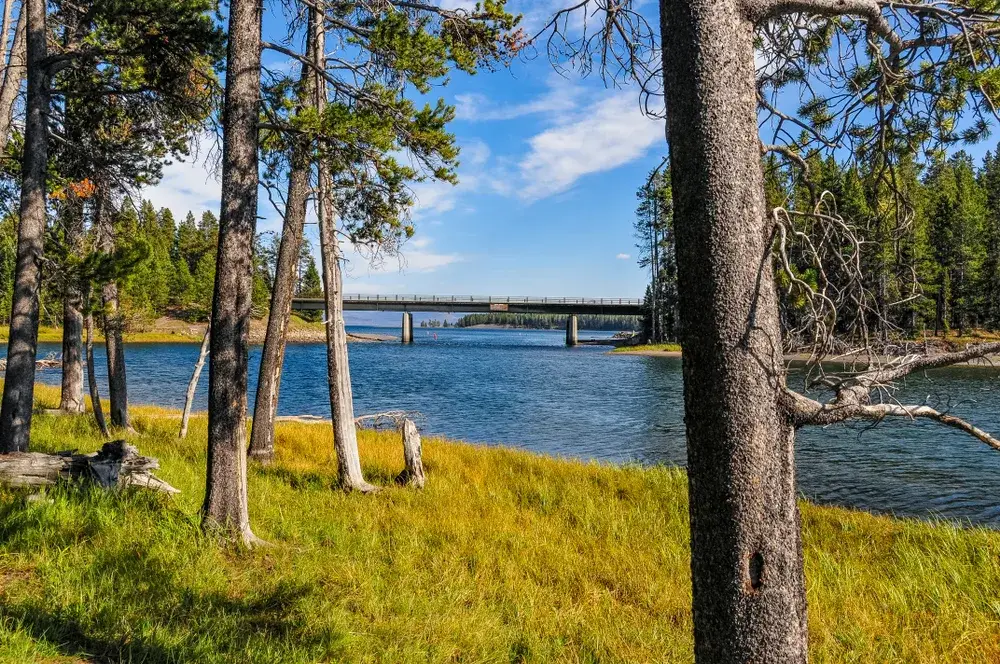 Bridge over the calm Yellowstone Lake, one of our top picks for must-visit places in Wyoming, pictured from between trees