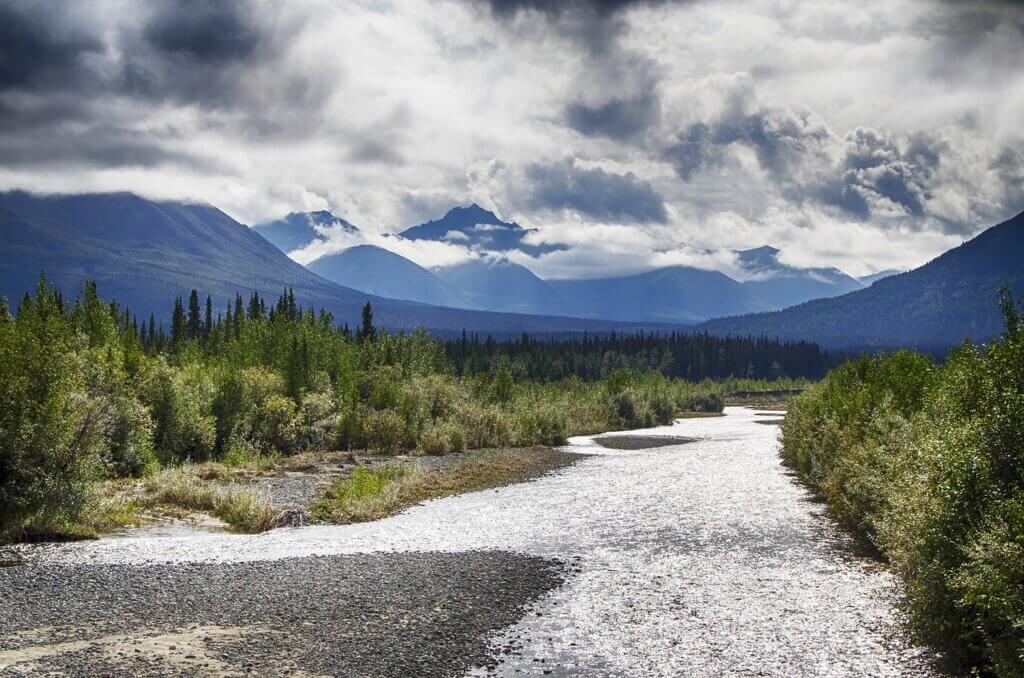 Lush Vegetation River