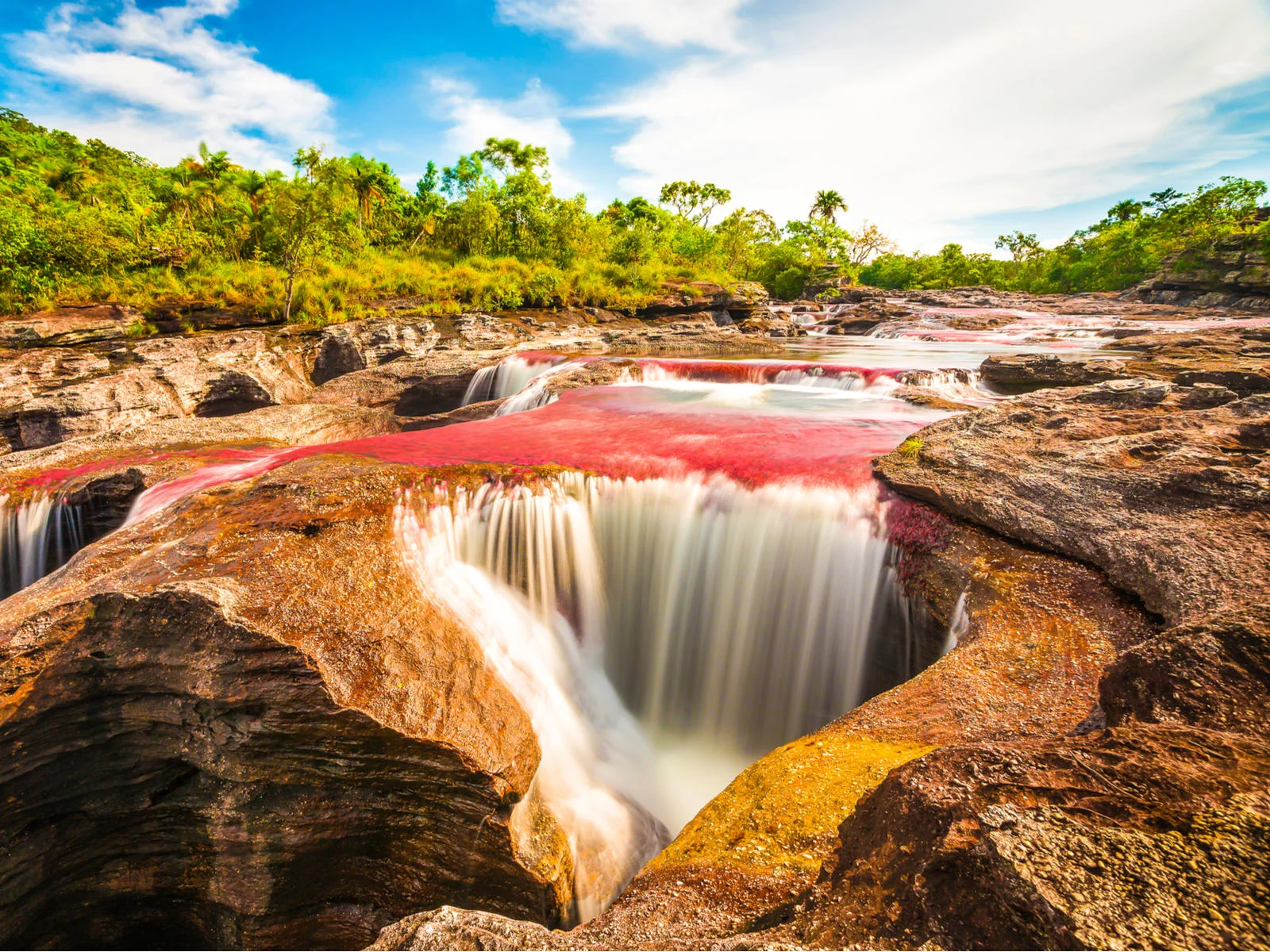 Cano Cristales multi-colored river pictured during the worst time to visit Colombia