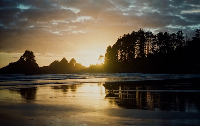 Tofino