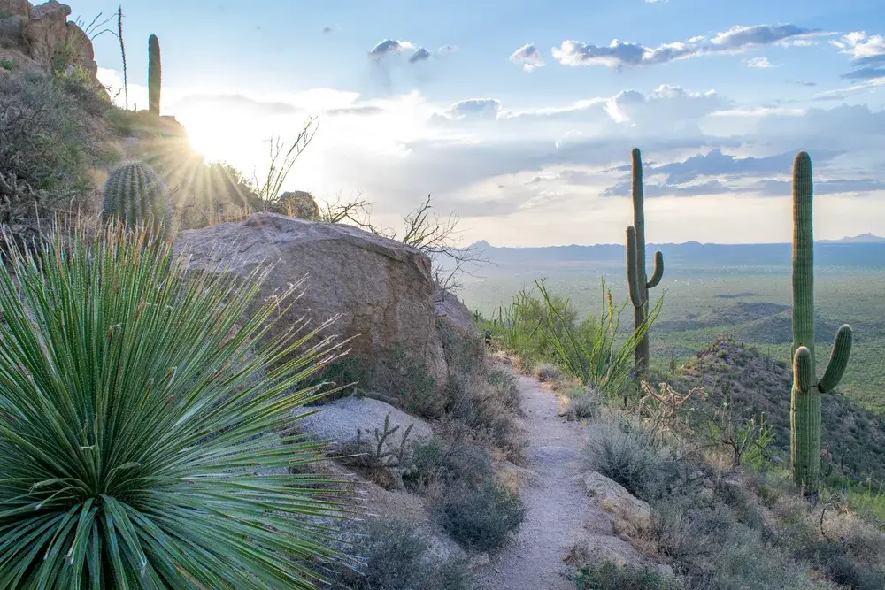 Sun beaming over the rocky cliffside hiking trail in Saguaro National Park, as seen at sunset during the best time to visit Tucson