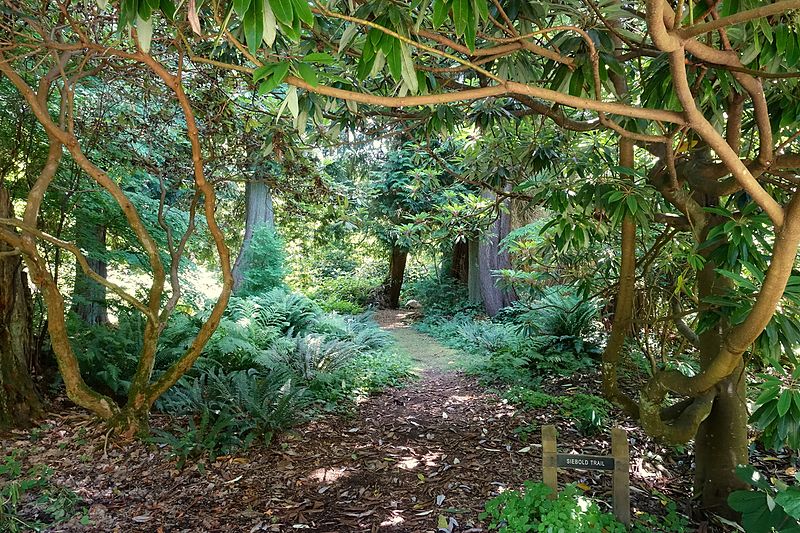 13 Free Things to Do in Vancouver for People on a Budget