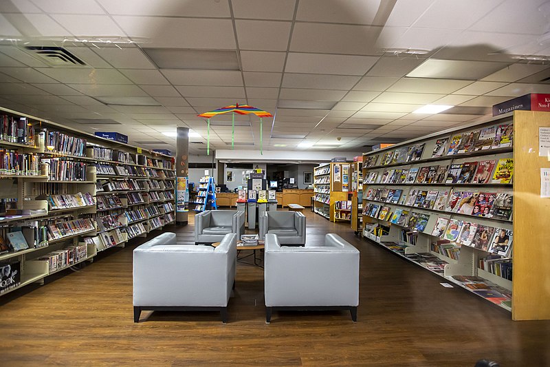 13 Free Things to Do in Vancouver for People on a Budget