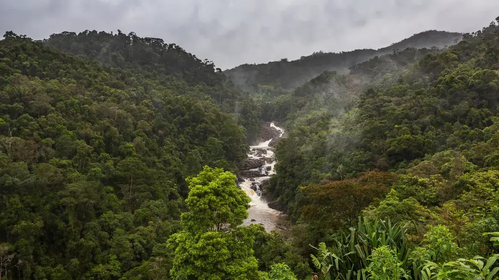 Ranomafana rainforest pictured with gloomy clouds and rain overhead with a river running down the middle for a piece on the worst time to visit Madagascar