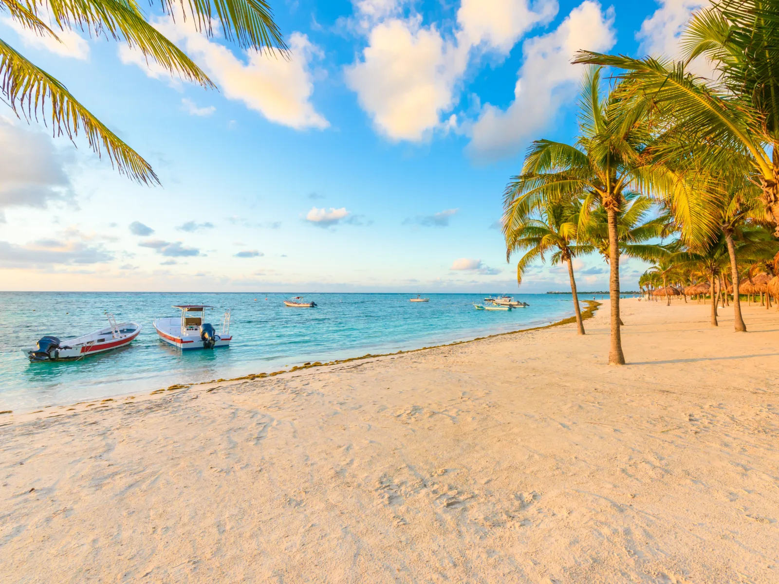 Late sunrise shining on palm trees at Akumal Beach, one of the best beaches in Cancun, with few boats anchored offshore