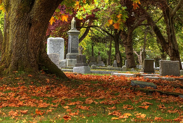 Victorian-Style Ross Bay Cemetery