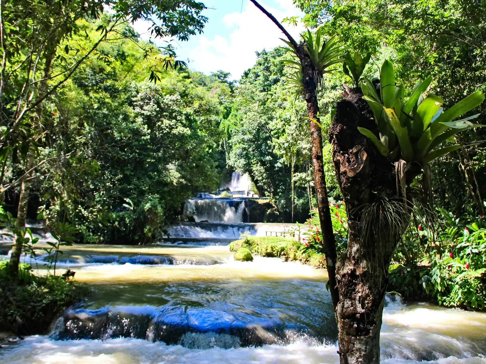Saint Elizabeth Falls at Dunn River Falls, one of the best beaches in Jamaica