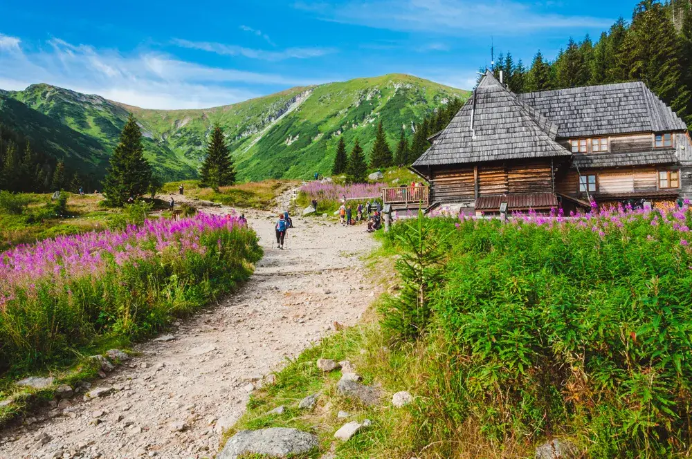 A gorgeous tourist trail with a wooden shelter and pink plants pictured during the best time to visit Poland in the Tatras Mountains