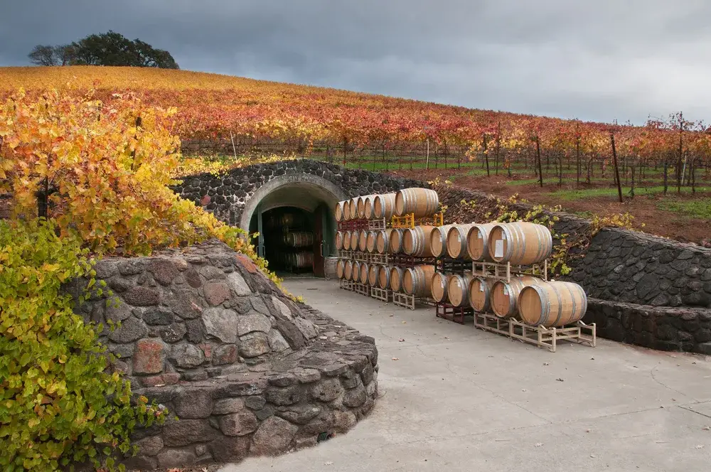 Wine barrels outside of a temperature-controlled cave during the best time to visit Sonoma