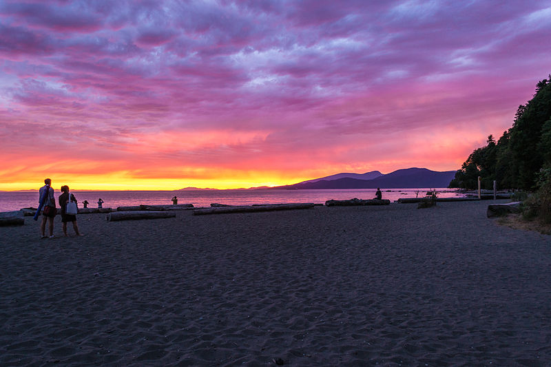 13 Free Things to Do in Vancouver for People on a Budget